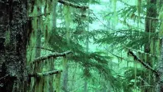 Green Earth by verdescampus
