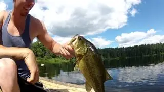 Hoola Popper bass catch- CanadianOutdoors!