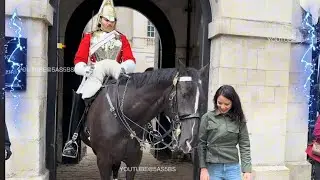 Horse Comes Out For Monday Morning Shift And Does This.