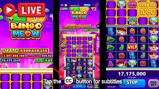 Cash Frenzy Casino USA | Review (Timing) | Bingo Meow