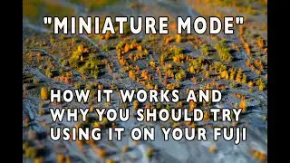 Fujifilm Users, Have You Tried Shooting in Miniature Mode Yet?