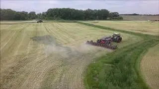 Triticale June 2018