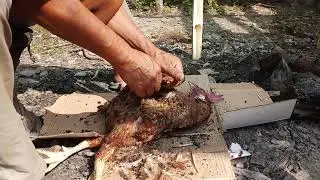Nepali Chicken Cutting Skill | नेपाली तरिकाले कुखुराको मासु काटेको । Kukhurako Masu |