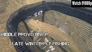 Middle Provo River LATE WINTER #flyfishing