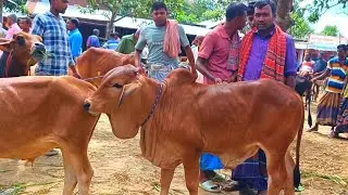 @আজ ৩ ফেব্রুয়ারী