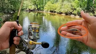 Fishing With ULTRA REALISTIC Eurotackle Z SUSPENDER At Ridley Creek!
