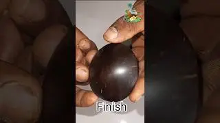 How To Polish Coconut Shell | Coconut Shell Polishing Short Video | Polkatu Polis #polish #craft