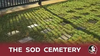 FSU's Sod Cemetery: A Nissan Fan-Fueled Tradition