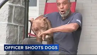Owner describes Philadelphia police officer fatally shooting pit bulls during dog fight