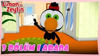 3 Bölüm 1 Arada 🍋 Limon ile Zeytin Mini - 44