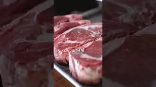 Stop AVOIDING Animal FAT!