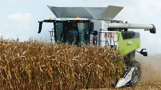 Claas Trion 740 12 Row Corn Header - Corn Harvest 2025