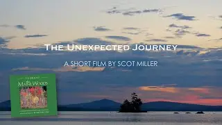 The Unexpected Journey: Seven Years in the Maine Woods