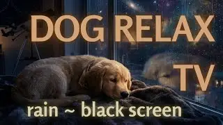 Calming Music for Puppies- 432 & 528 Hz Dog Sleep | Black Screen