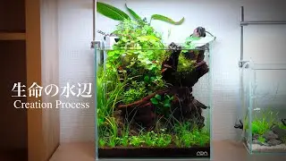 「生命の水辺」/Nano Aquascape Creation Process