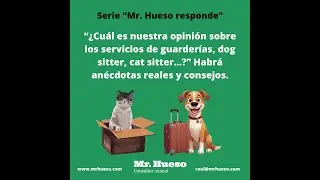 Mr. Hueso responde 8, opiniones sobre los servicios de guarder&iacute;a