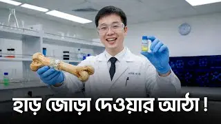 চীনের অবিশ্বাস্য আবিষ্কার হাড্ডি জোড়া দেওয়ার আঠা !