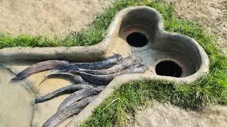 I Tried This Deep Hole Fish Trap &mdash; It Actually Works!