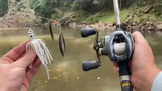 Spinnerbait Catches GIANT River Bass!! (New PB!)