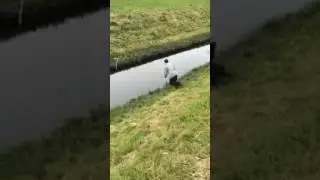 Mad cunt in the joeys