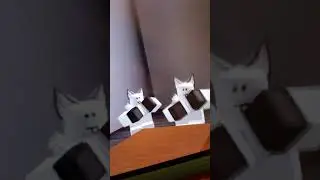 FURRY INFECTION in a NUTSHELL