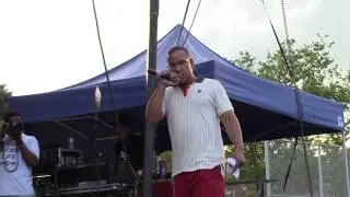 DJ Premier & Friends @ Summer Stage 2017 (Betsy Head Park) Brooklyn, NY