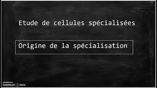 La spécialisation des cellules 2nde