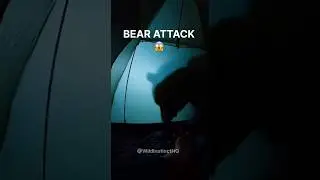 BEAR ATTACK AT 3 AM! 🐻⛺
