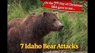 Scary Bear Attacks: Idaho Bear Attacks That Turned Deadly