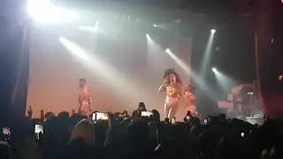 Brown Cow Stunning with Monique Heart