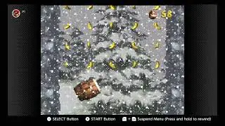 Donkey Kong Country: 4-1 Snow Barrel Blast Secret Rooms