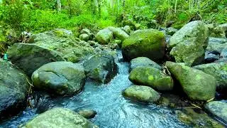 Quiet Night River Flow &ndash; Pure Water Sounds for Deep Rest