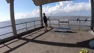 Jekyll Island Pier Bull Red