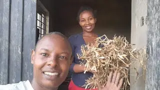 Simple Life as a New Dad | Harvesting, Cooking & Building Our Home.Kenya Africa