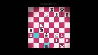 MAGNUS gambit 🤯 unbelievable #magnusgoat #chessgambit #accurate