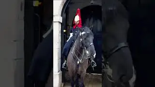 Everyone Thought the New King&rsquo;s Guard Was Angry&hellip; But Wait Till the Last Second 😳💂&zwj;♂️