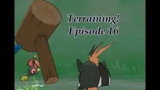 Terraining! Episode 16 - Tapu Bulu Putting in the Work