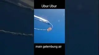 Jellyfish Caught In Bubble Ring ‼️😱#shorts #uburubur