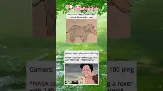 #nivetadhingramusic