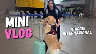 Viagem Internacional com minha Service Dog na Cabine do avi&atilde;o ✈️