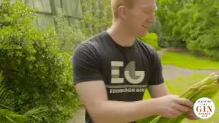 Edinburgh Gin - Scottish Gin Awards 2018