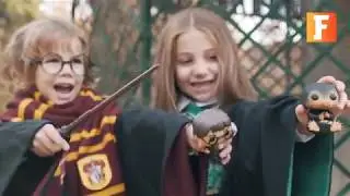 Harry Potter costumes and accesories: Robes, wands, scarves, funkos