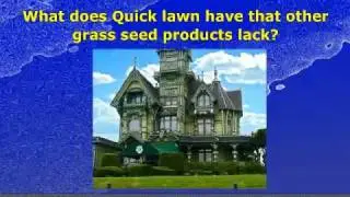 Quick Lawn