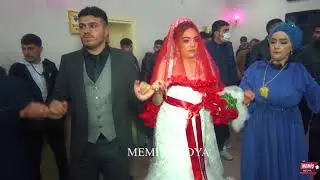 #kürt #Düğünü #ağrı #bazid #ığdır   . Mihriban & Rohat çitimizin Güzel düğünü