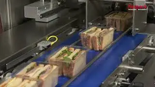 Redpack P325S BM Flow Wrapper Packaging Sandwiches | www.ProPac.com