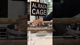 tame Parrot cage Raa gray ringneck  best for all tame bird