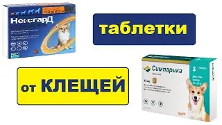 Таблетки от клещей для собак Симпарика и Нексгард инструкция, применение
