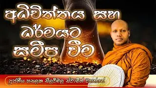 ‍අධිචිත්තය සහ ධර්මයට සමීප වීම | පූජ්‍ය හසලක සීලවිමල ස්වාමීන් වහන්සේ