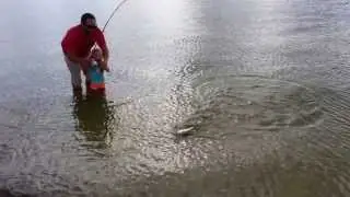 Picnic island park fishing -  jack on top water