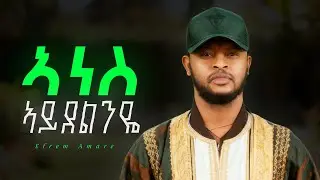 Efrem amare - Anes aydelnye - ኣነስ ኣይደልንዬ  - New Ethiopian Amharic music 2025 (Official Lyric)